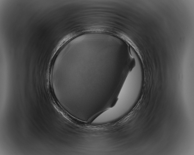 X0000087010994200705071522