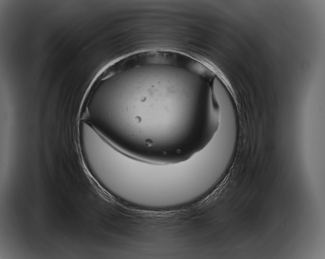 X0000087010996200705071522