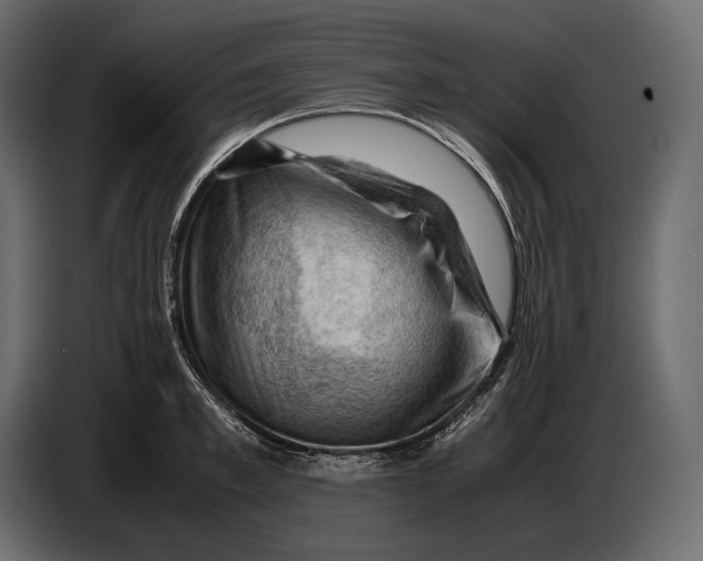 X0000087010997200705071522