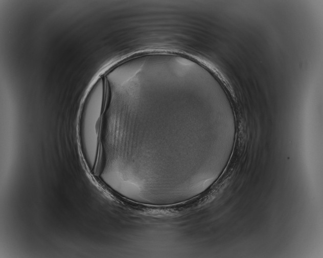 X0000087010998200705071522