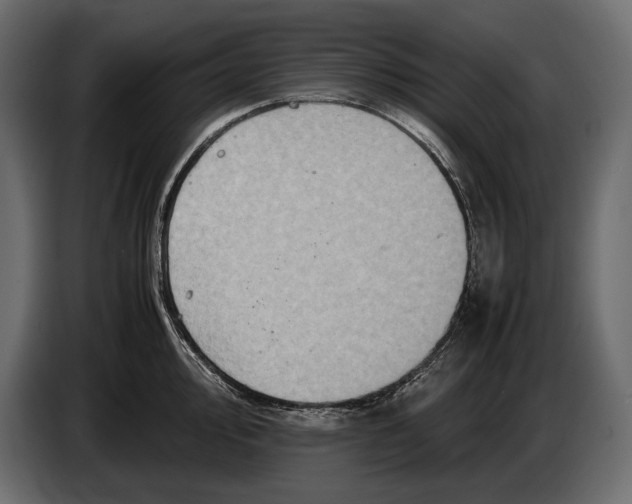 X0000087011000200705071522