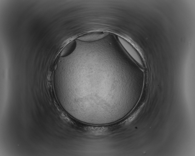 X0000087011001200705071522