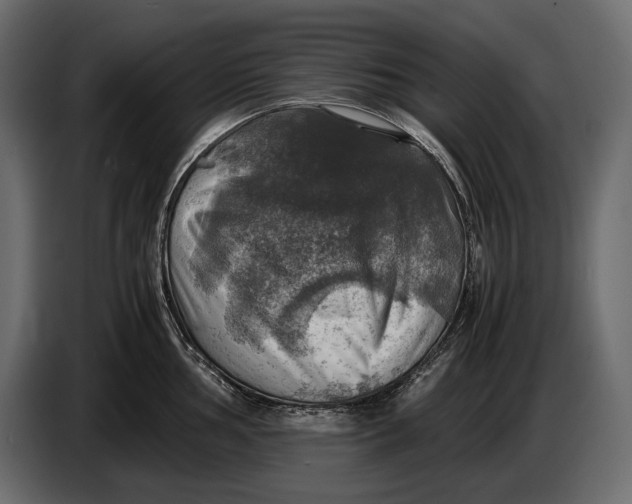 X0000087011002200705071522