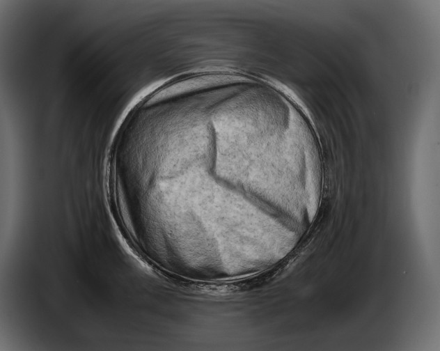 X0000087011003200705071522