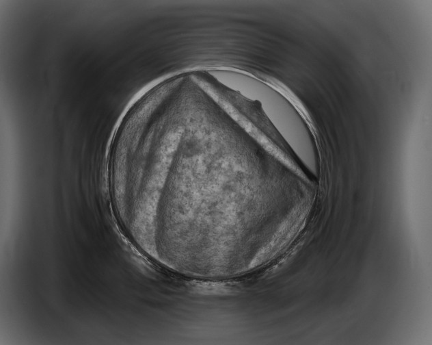 X0000087011004200705071522