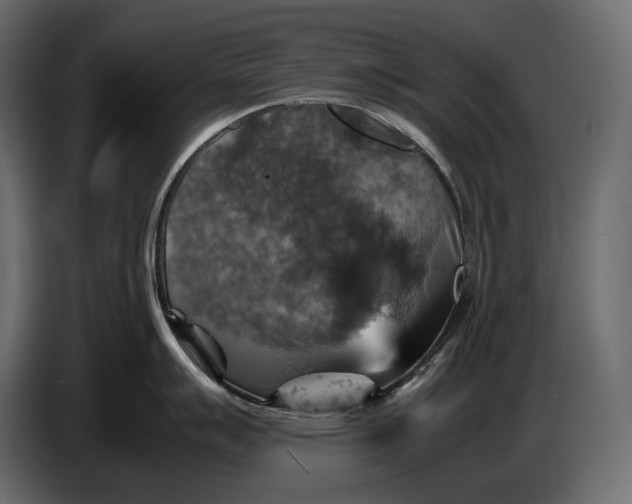 X0000087011007200705071522