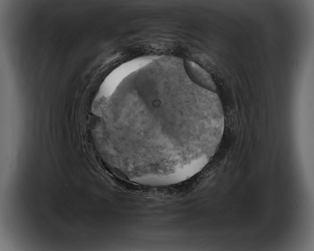 X0000087011009200705071521