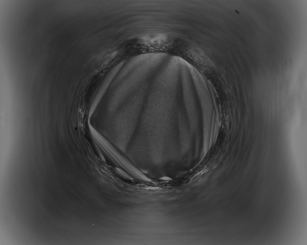 X0000087011010200705071521