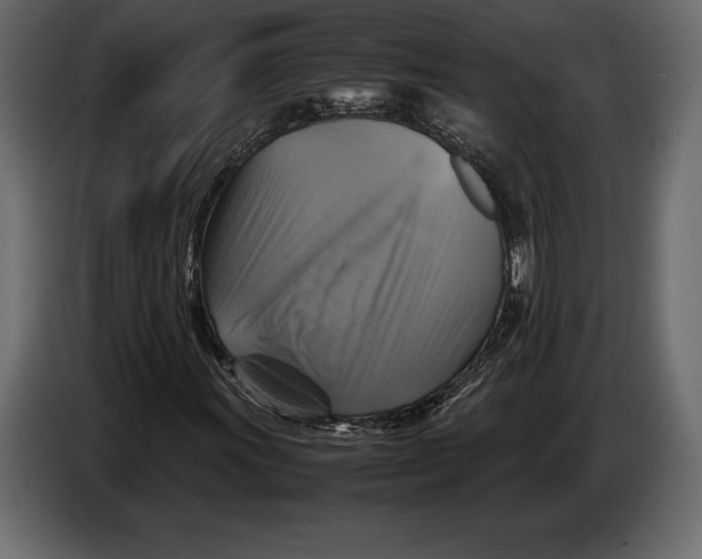 X0000087011011200705071521