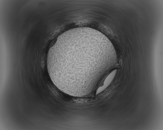 X0000087011012200705071521