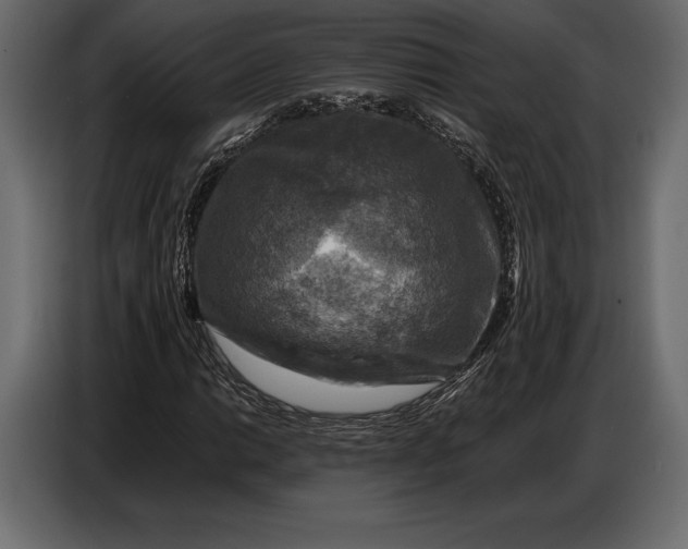 X0000087011014200705071521