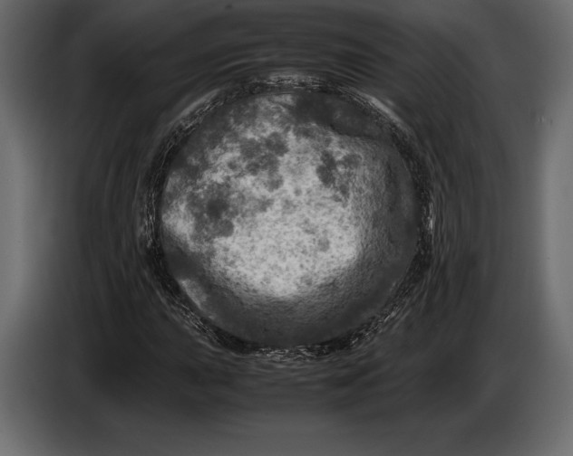 X0000087011015200705071521