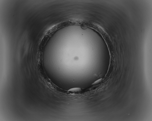 X0000087011016200705071521