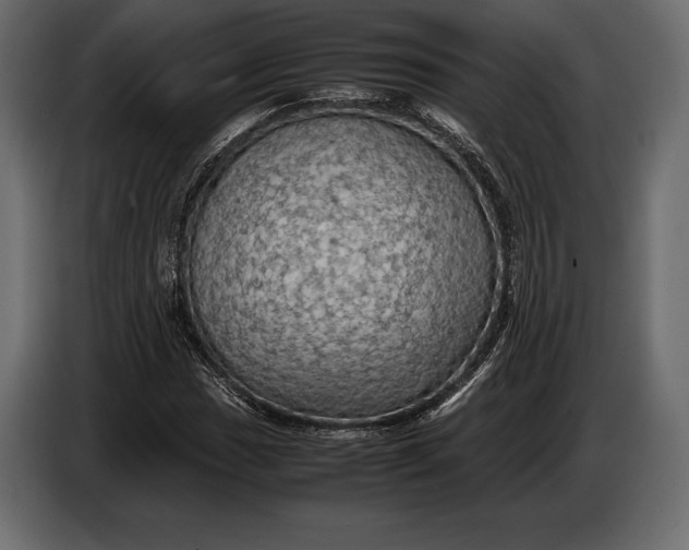 X0000087011017200705071521