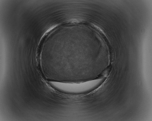 X0000087011018200705071521