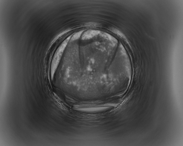 X0000087011019200705071521