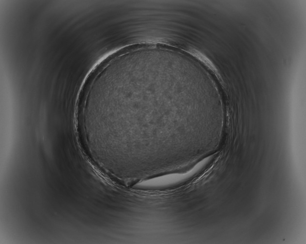 X0000087011020200705071521