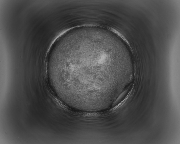 X0000087011021200705071521