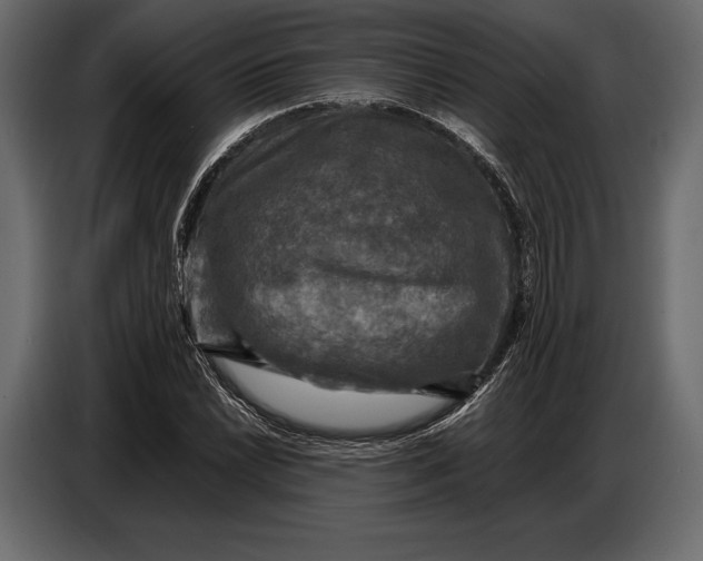 X0000087011022200705071522