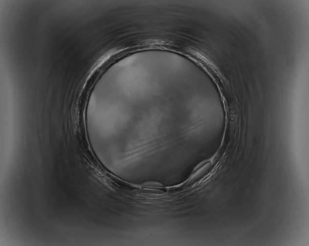 X0000087011023200705071522