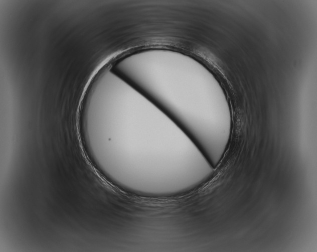 X0000087011024200705071522