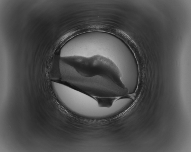 X0000087011025200705071522