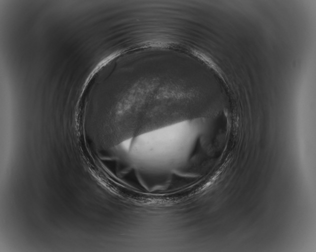 X0000087011026200705071522