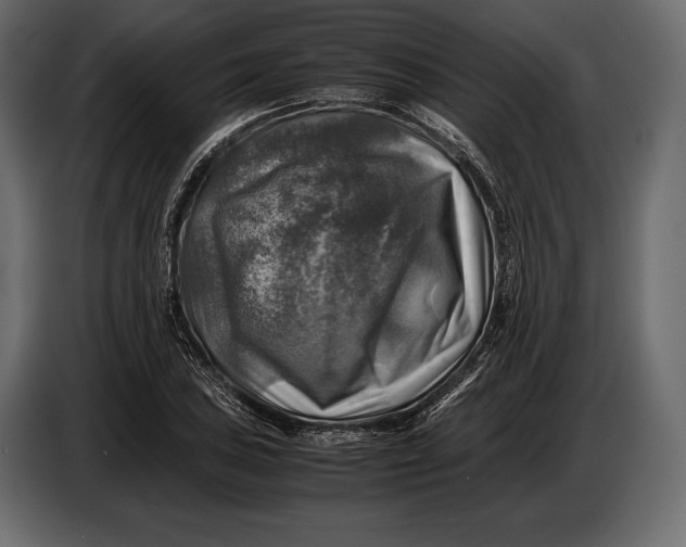 X0000087011027200705071522