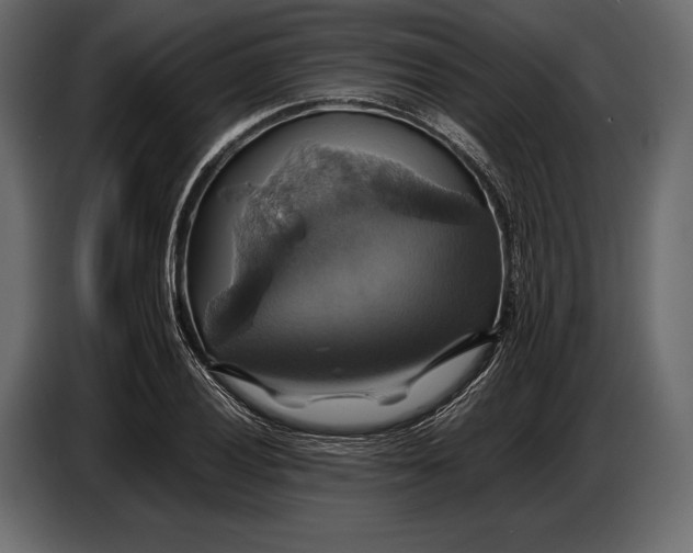 X0000087011028200705071522