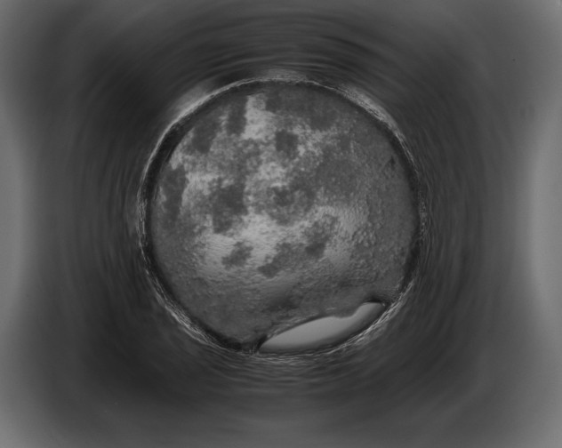 X0000087011029200705071522