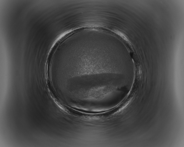 X0000087011030200705071522