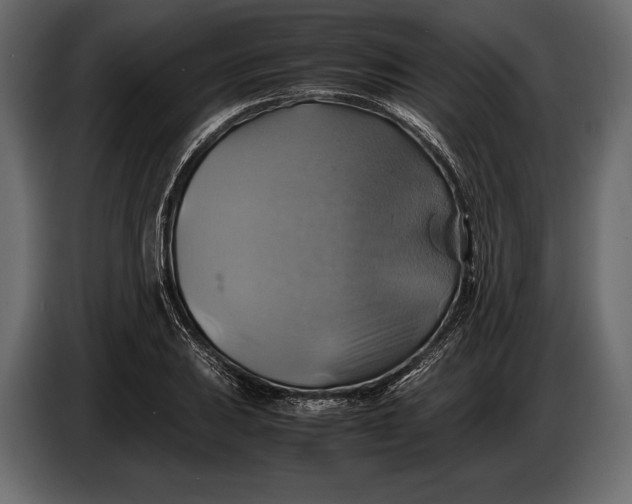 X0000087011031200705071522