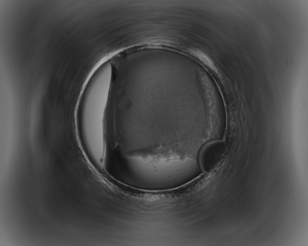 X0000087011032200705071522