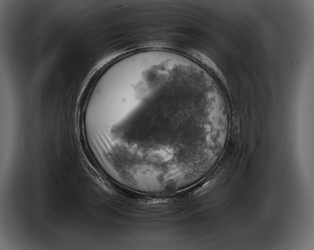 X0000087011035200705071522