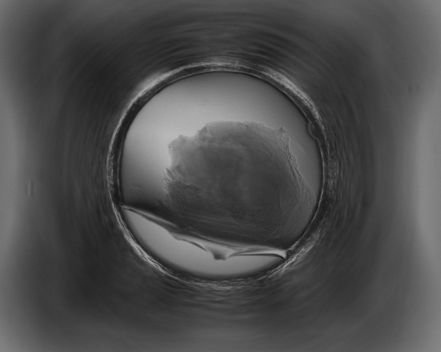 X0000087011037200705071522