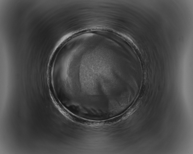 X0000087011038200705071522