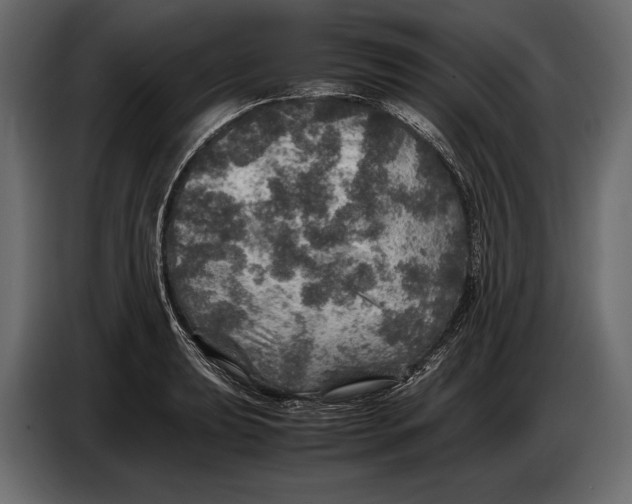 X0000087011039200705071522