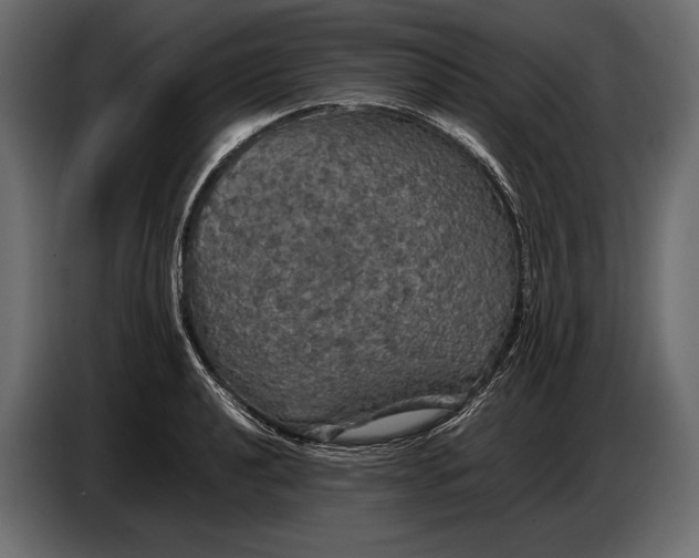 X0000087011040200705071522