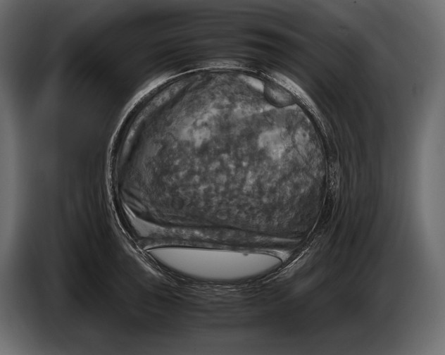 X0000087011043200705071522