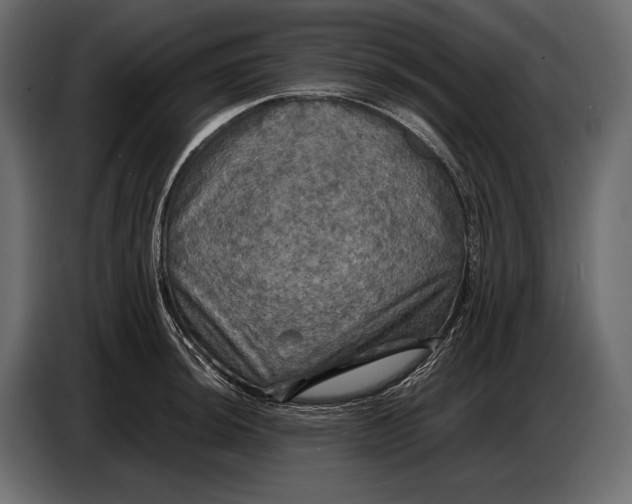 X0000087011044200705071522