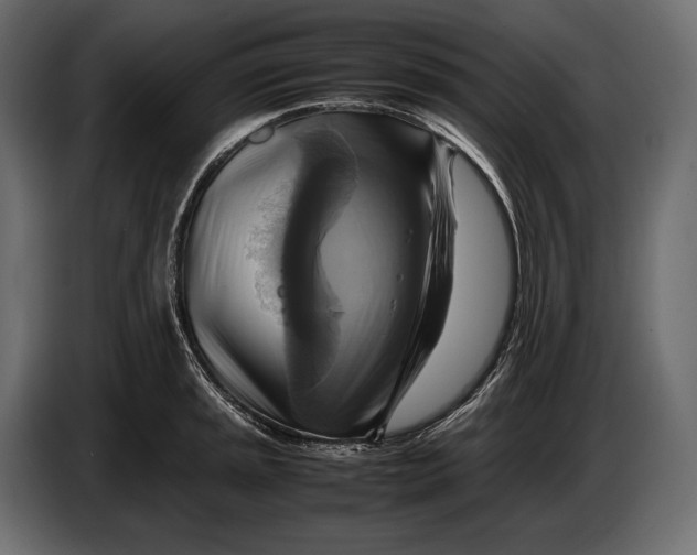 X0000087011045200705071522