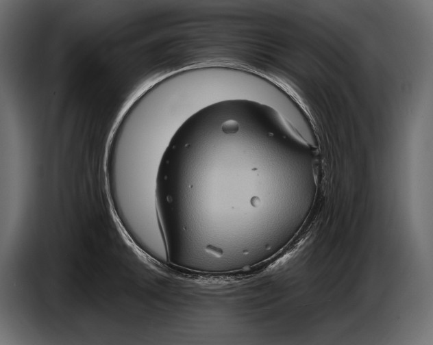 X0000087011046200705071522