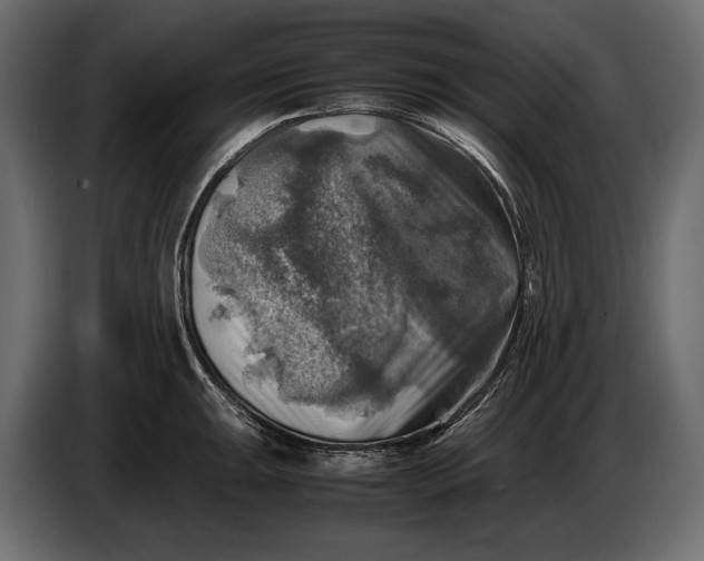 X0000087011047200705071522