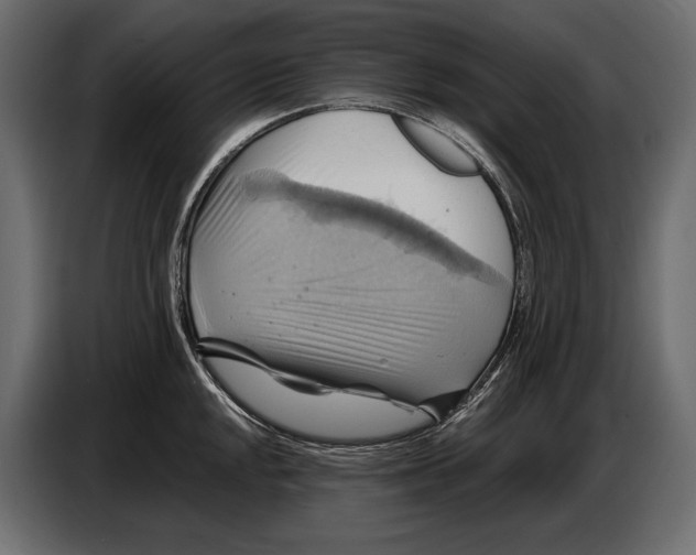 X0000087011048200705071522