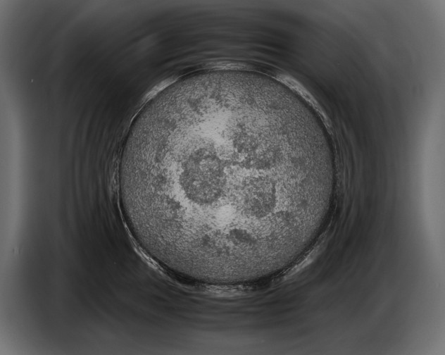 X0000087011049200705071522