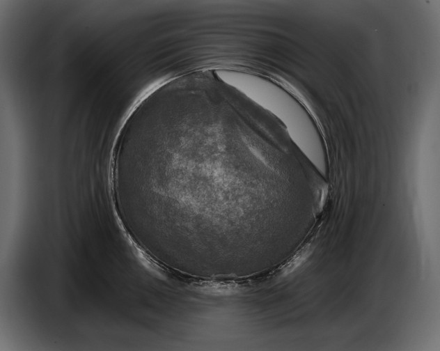 X0000087011050200705071522