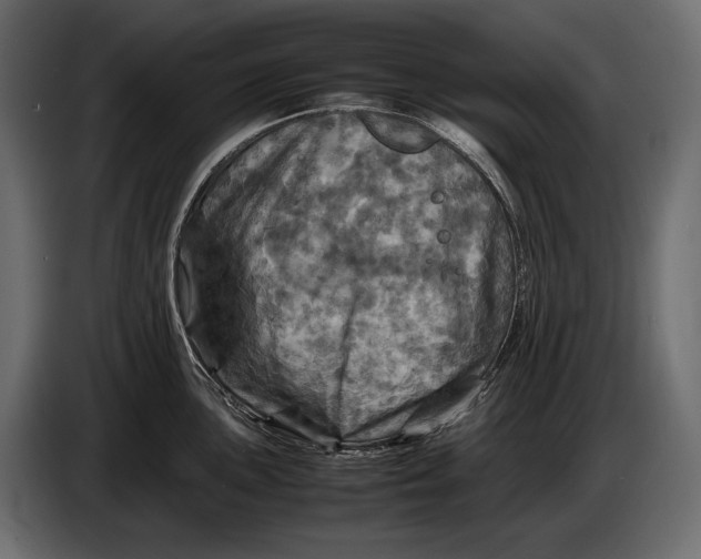 X0000087011051200705071522