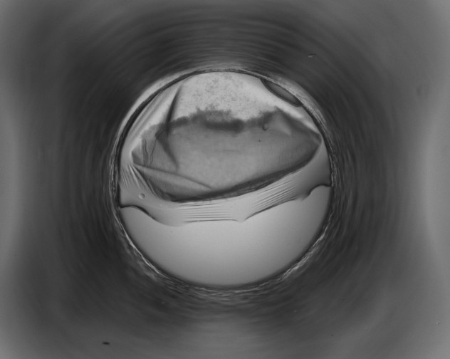 X0000087011052200705071522