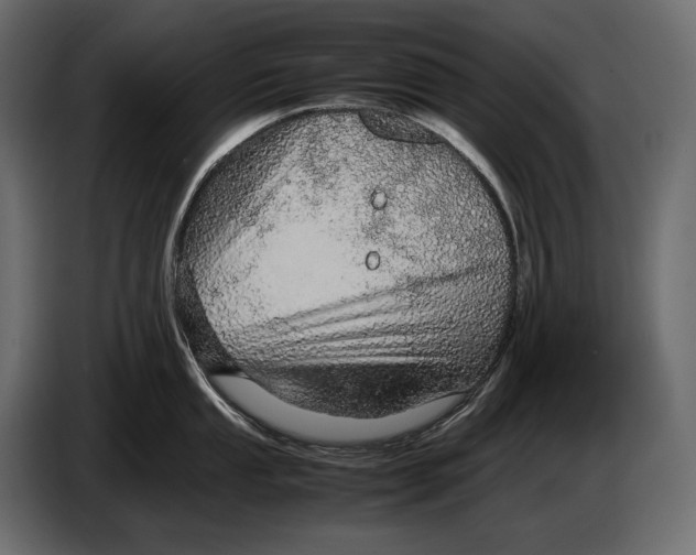 X0000087011053200705071522