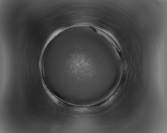 X0000087011054200705071522